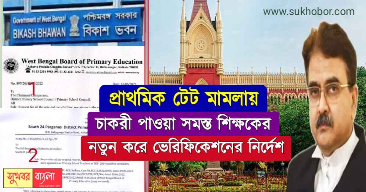 Primary TET 2014