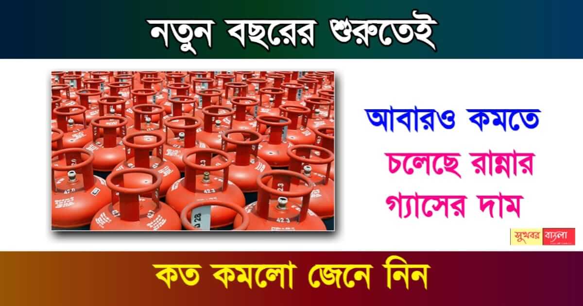 LPG Cylinder Price (রান্নার গ্যাসের দাম)