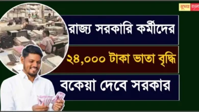 Government Employees Allowance Hike