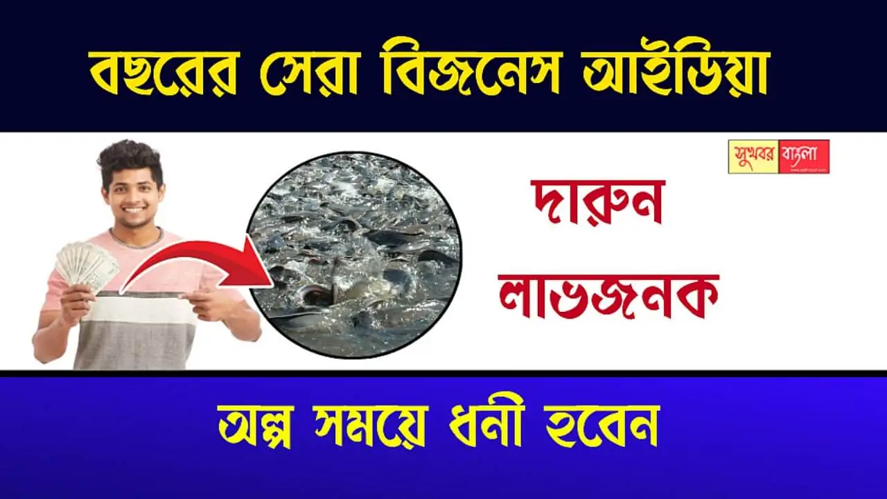 Fish Farming Business Idea (ফিশ ফার্মিং বিজনেস)