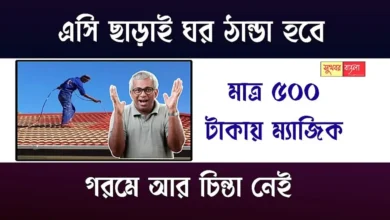Roof Painting Process (রুফ পেইন্টিং)