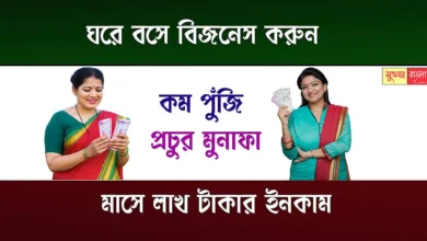 Low Investment Business Idea (কম পুঁজির বিজনেস আইডিয়া)