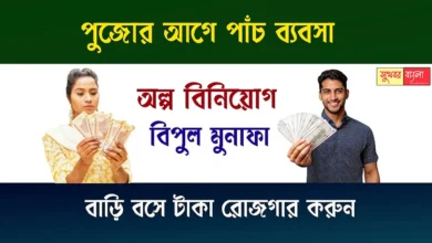 Business Idea Before Puja (পুজোর আগে ব্যবসা)